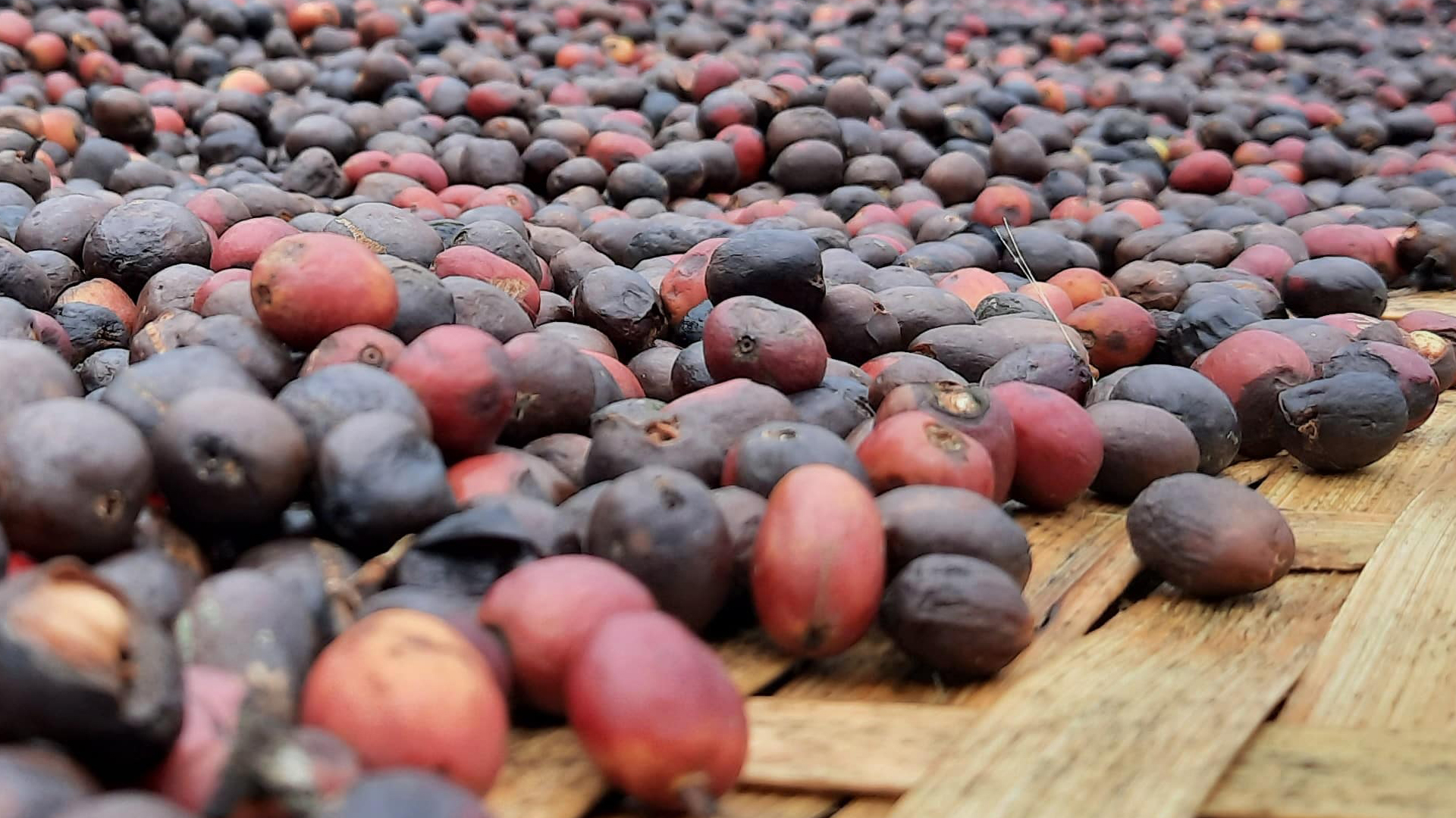 We help you find the coffee you want